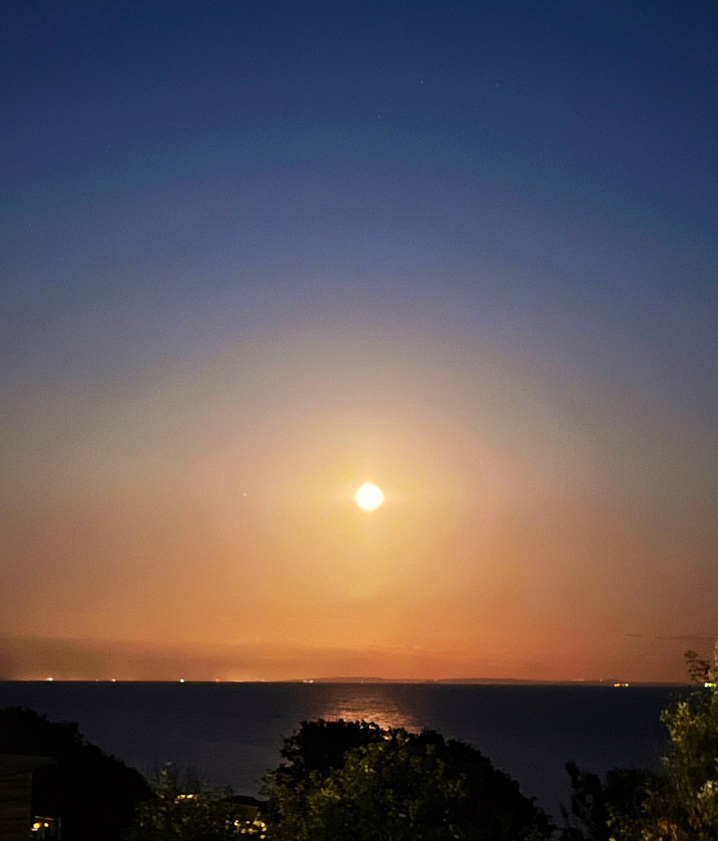 Malcolm Prince tweet media