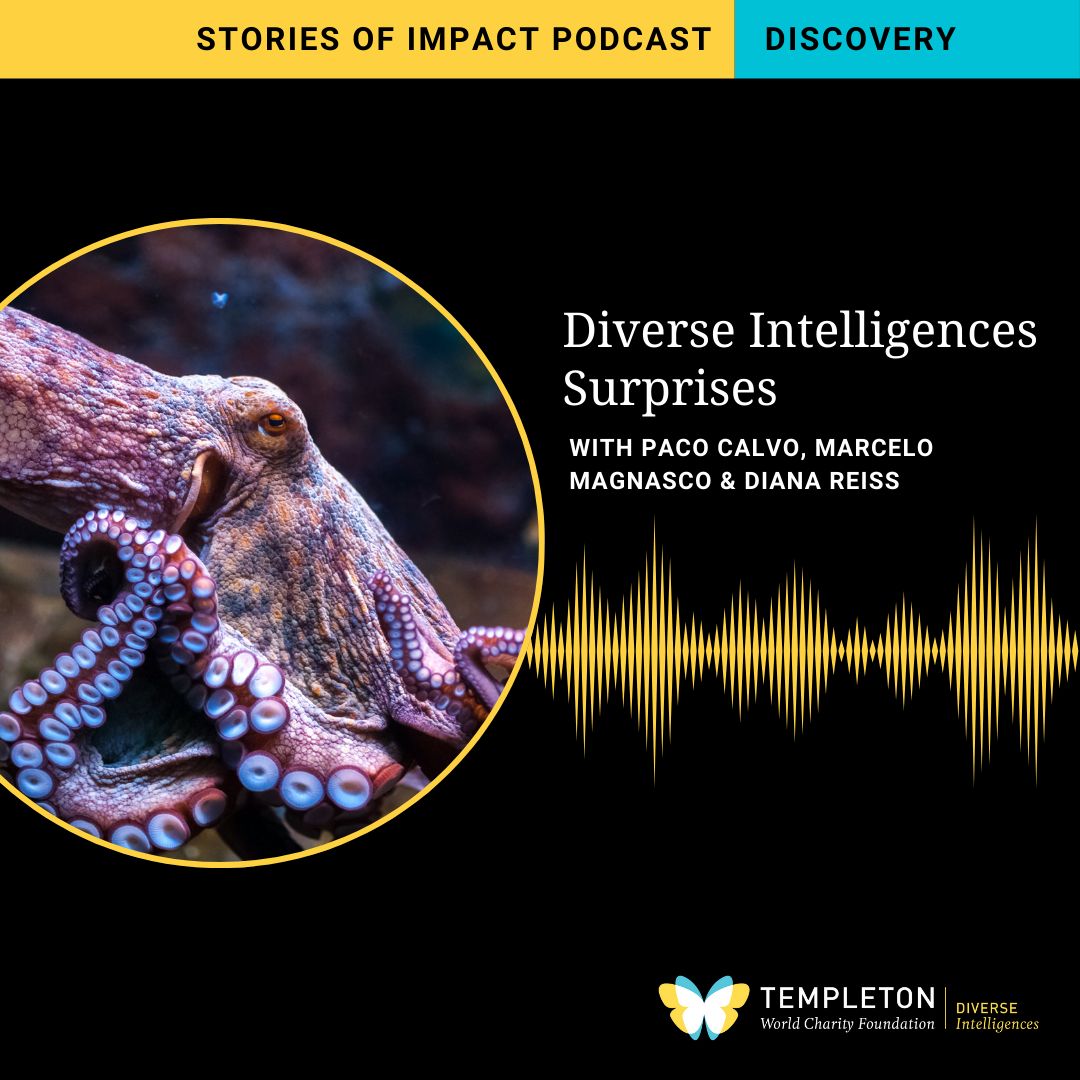 Templeton World Charity Foundation tweet media