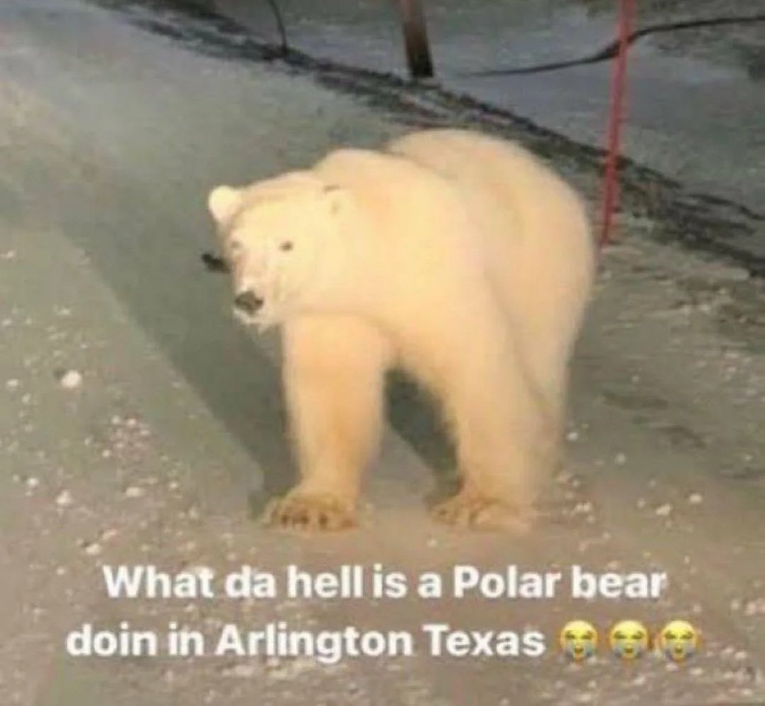 hotmessjunk's tweet photo. Florida in london be like https://t.co/8oc2hWtKBf