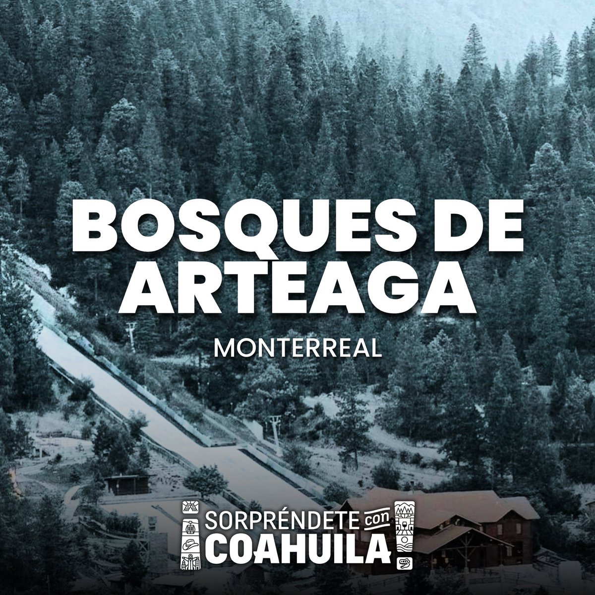 Coahuila's tweet photo. La Sierra de Arteaga es conocida como La Suiza de México, en ella encontrarás @b_monterreal, un increíble centro vacacional rodeado de un bosque extraordinario, en donde podrás realizar un sinnúmero de actividades en contacto con la naturaleza. ¡Sorpréndete con Coahuila!

(1-2) https://t.co/zlXjlNWyyg