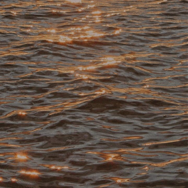 artindetails's tweet photo. — golden reflections https://t.co/slqvz7teSc