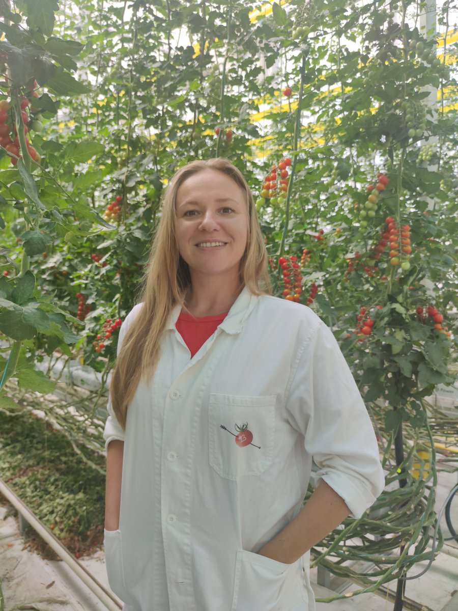 TKalachova's tweet photo. Visiting the collaborators - Bezdinek farm, producers of the tastiest greenhouse tomatoes in CZ. Truly fascinated by their precision and care. Proud to be working with them towards better vegetable future!
@UEBavcr
#TAČR #newPI #plantpathology #appliedresearch #biocontrol https://t.co/lySFR95BnR