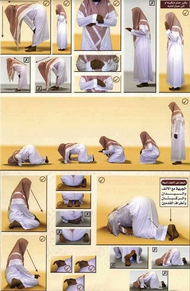 Quranconnect_'s tweet photo. Fix your salah🤍 https://t.co/Jw5lF0m2EZ