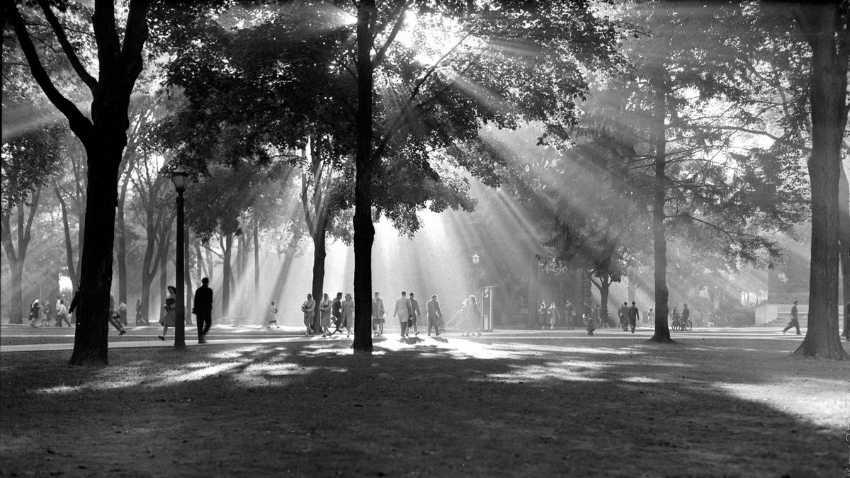 umichBentley's tweet photo. Move-In starts tomorrow! ⭐ We can’t wait to welcome you back to campus, Wolverines! 
📸: Students walking across the Diag in 1947, News &amp; Info Photos https://t.co/IwiSIV0JAA