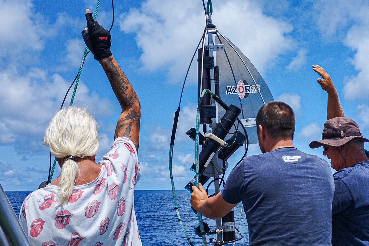 Azores Deep-Sea Research tweet media