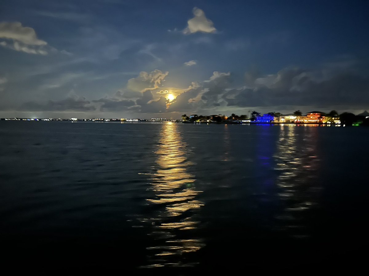 DaveInTheBuff 🦬 tweet media