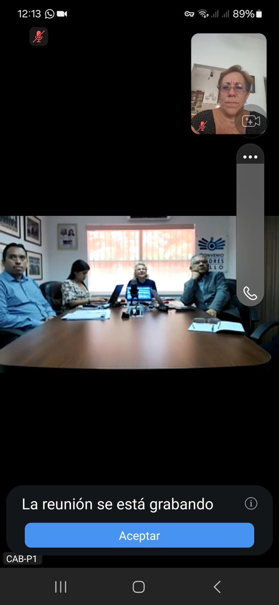 Reunión del <a href="/espacio_CAB/">ConvenioAndrésBello</a> de la línea 2 para debatir sobre la propuesta de criterios del SIREC