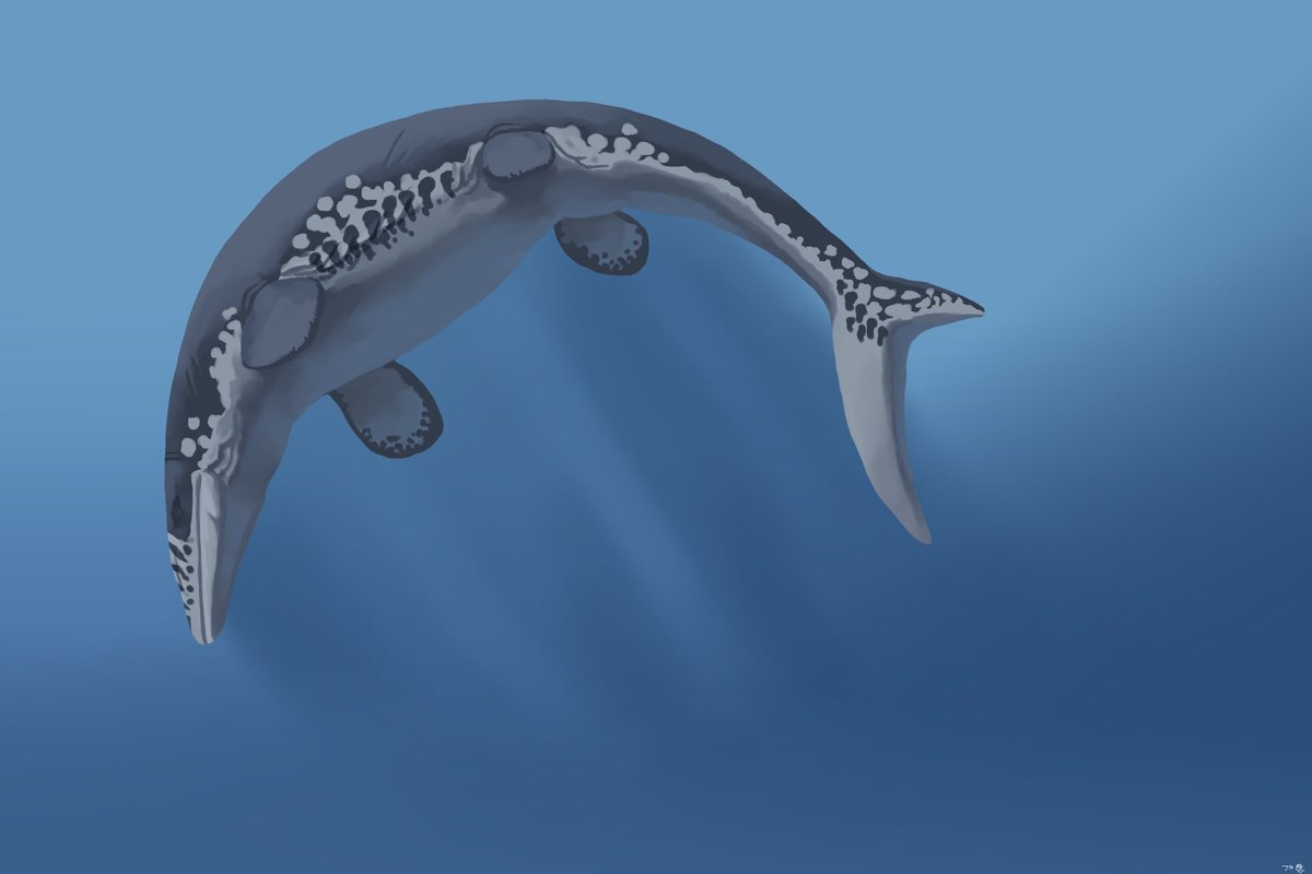 joaothelegend's tweet photo. rendering practice with tylosaurus

#paleoart https://t.co/zJCXpNjDr6
