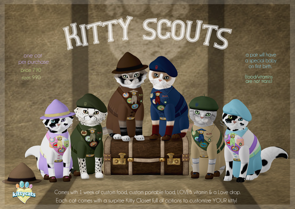 caLLiecLine's tweet photo. this collection is out now! Part of our Camp Meow summer fun!! We also have free shoulder pets sets as a gift! https://t.co/WIZvA90dbC