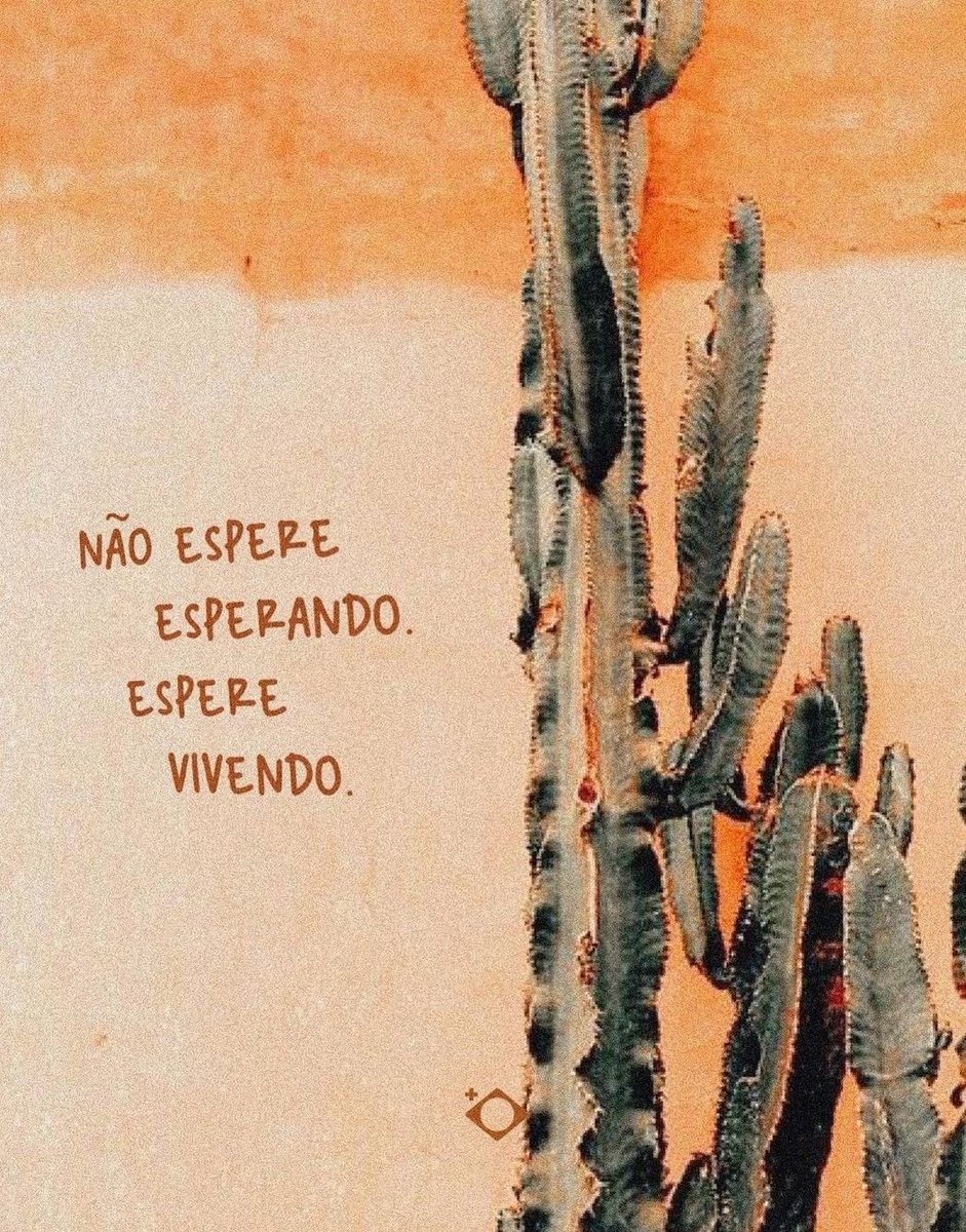 maisbrasil's tweet photo. Não espere esperando. Espere vivendo. ✨ https://t.co/NTpt2eWo8g