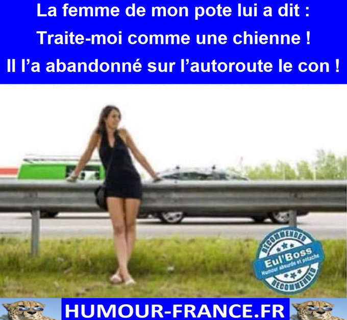 text alternatif