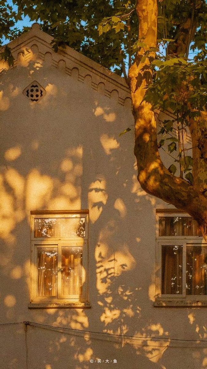 artindetails's tweet photo. — golden hour https://t.co/G2YVtwJYRZ