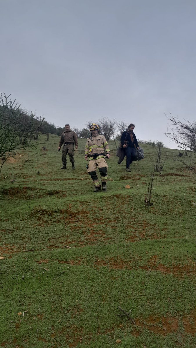 CarabMaule tweet media