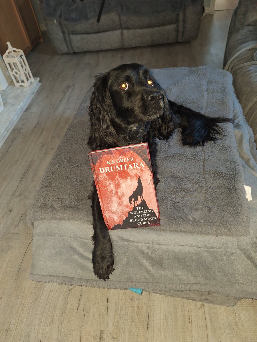 Riley has been by my side everyday I have been writing. He is a good listener as I read aloud. I dedicated, The Wolfbeing And The Blood Moon Curse to him, my loyal friend.