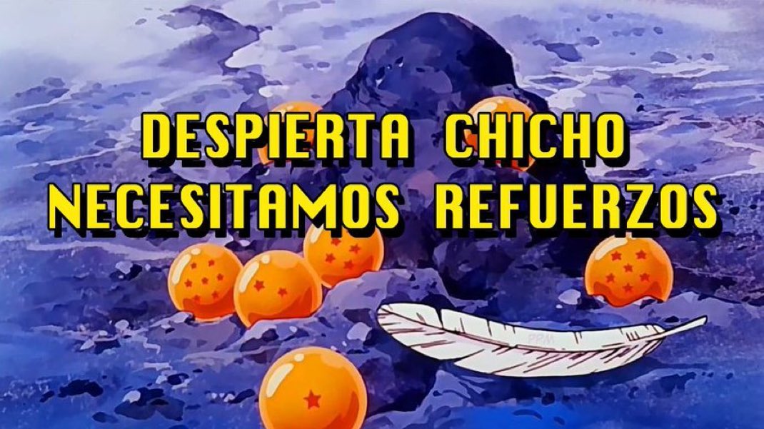 HOY PRESENTAMOS: