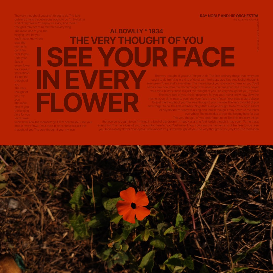 DDS Studio tweet media