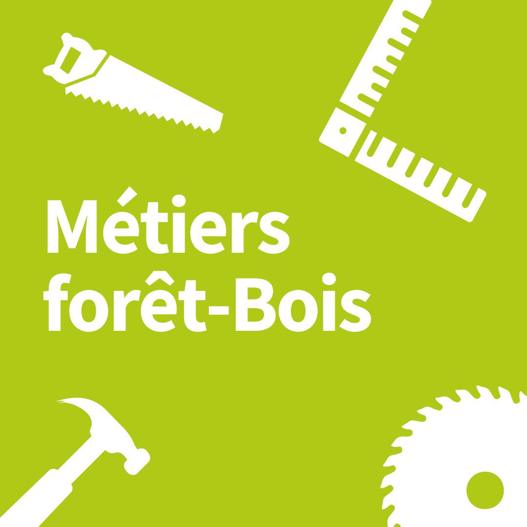 Bois.com tweet media