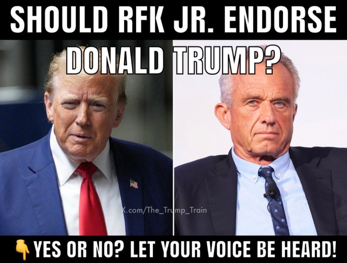 The Trump Train 🚂🇺🇸 tweet media