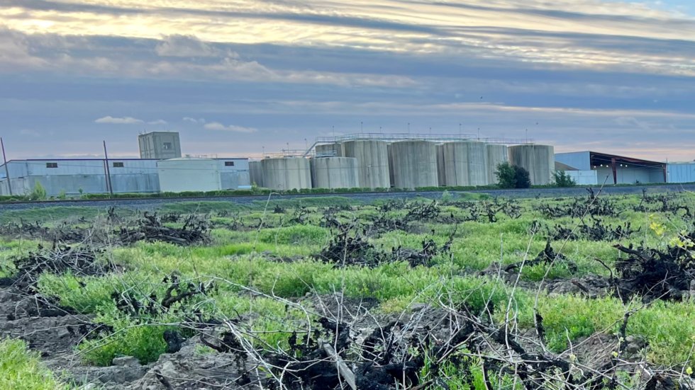 Lodi Wine Growers tweet media