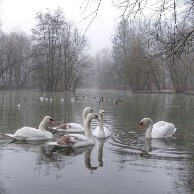 artindetails's tweet photo. — snowy day https://t.co/LBoZmO4vrI