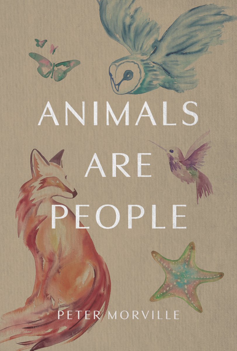 Peter Morville tweet media