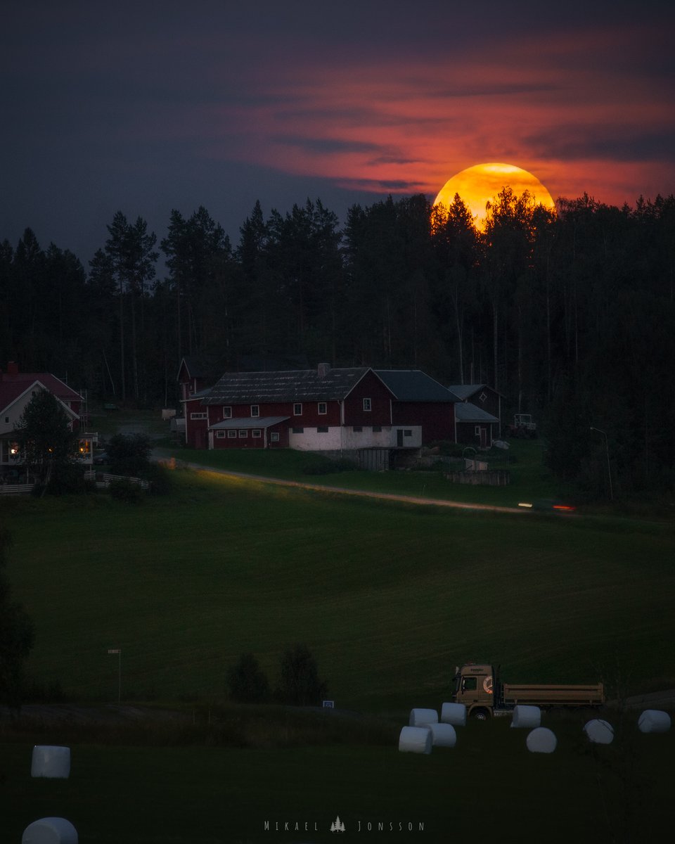 fotografmikaelj's tweet photo. Augustis fullmåne går upp över skogen i Täfteå https://t.co/b43PKl3Xve