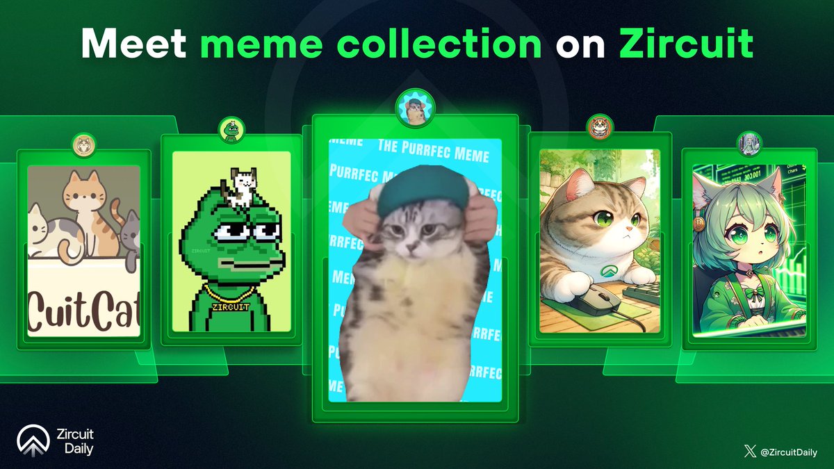 Zircuit Daily tweet media