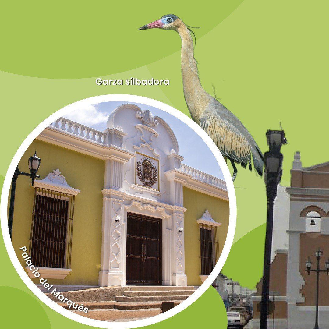 INATURPORT's tweet photo. En este periodo de Vacaciones visita el estado Barinas, sus bellezas naturales los esperan, un estado Llanero digno de conocer.

@nicolasmaduro
@delcyrodriguezv
@alipadronven
@minturvzla
@inaturvzla
@minturvzla2.0
@asdrubalrincones
@braianvargasve
@primitivo_cedeno https://t.co/1PwEDbEHgQ