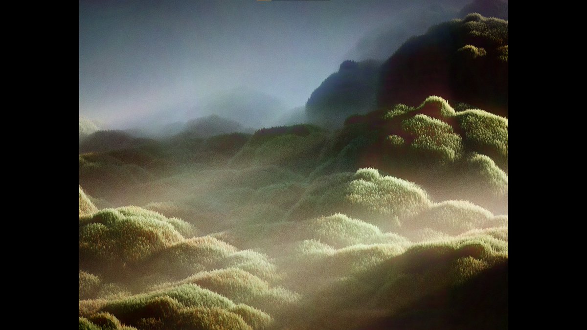 wrighter tweet media