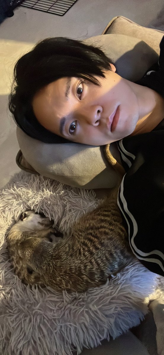 財部りょうじ tweet media