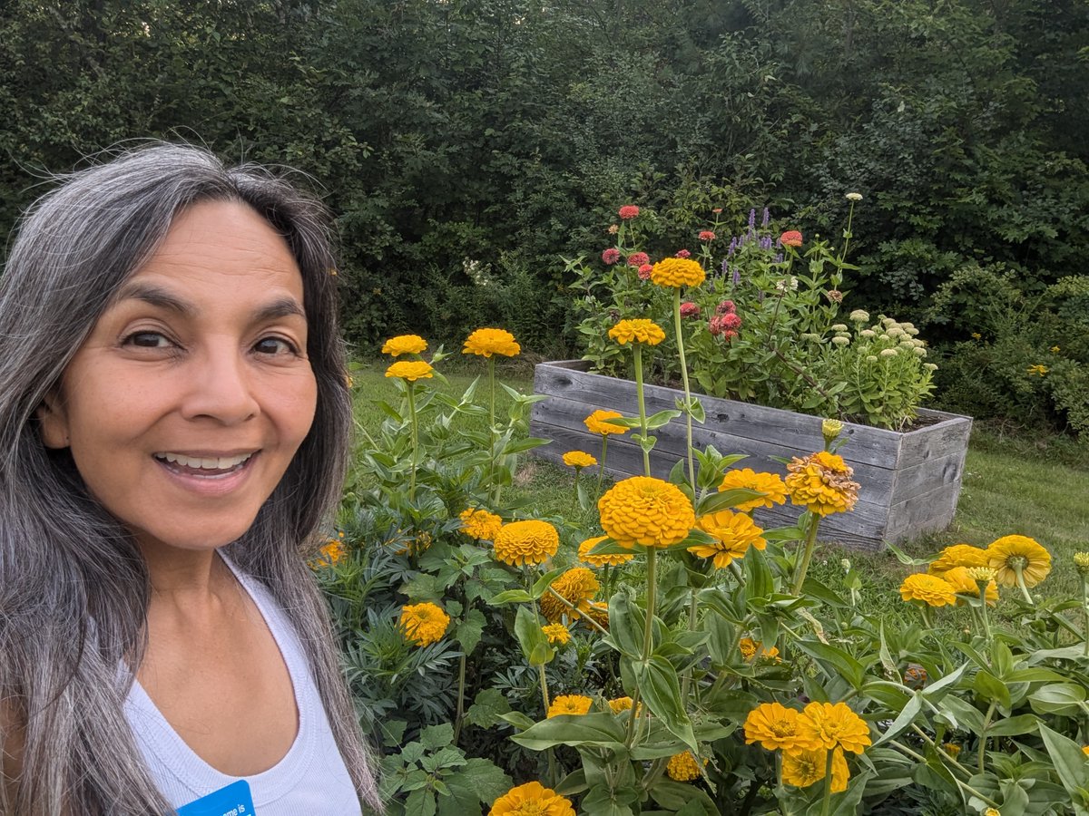 DNAWORKS tweet media