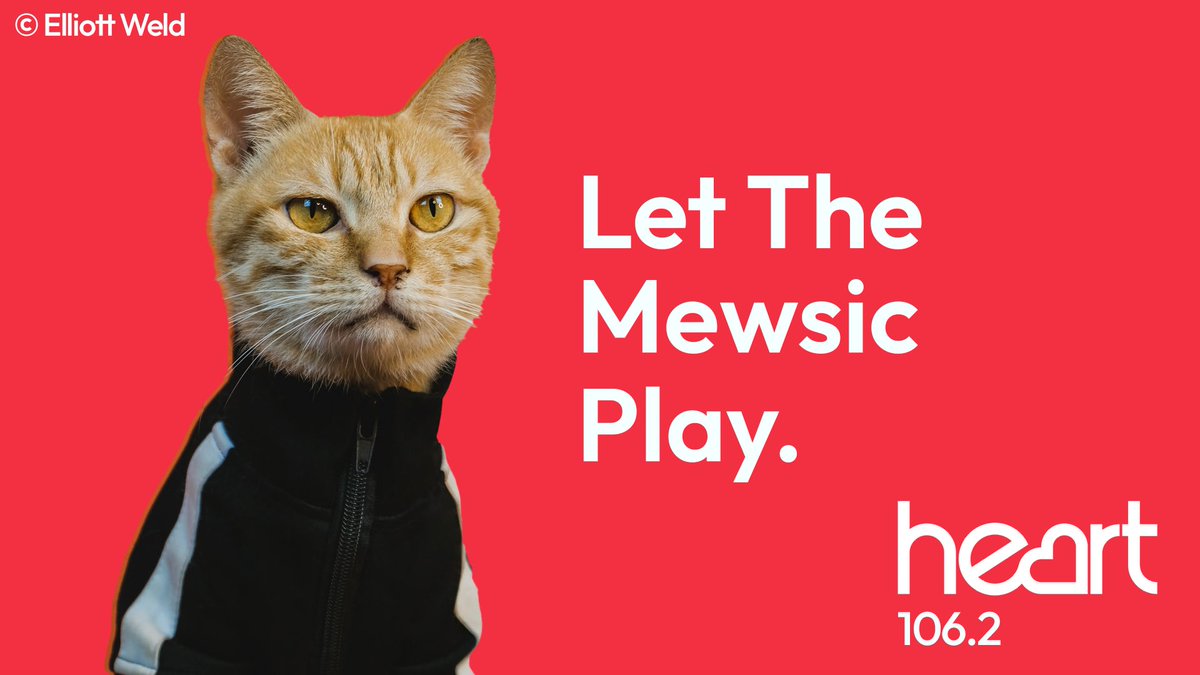 For all the pets who have the radio on in the background. <a href="/OneMinuteBriefs/">One Minute Briefs ⏱️</a> #NationalRadioDay