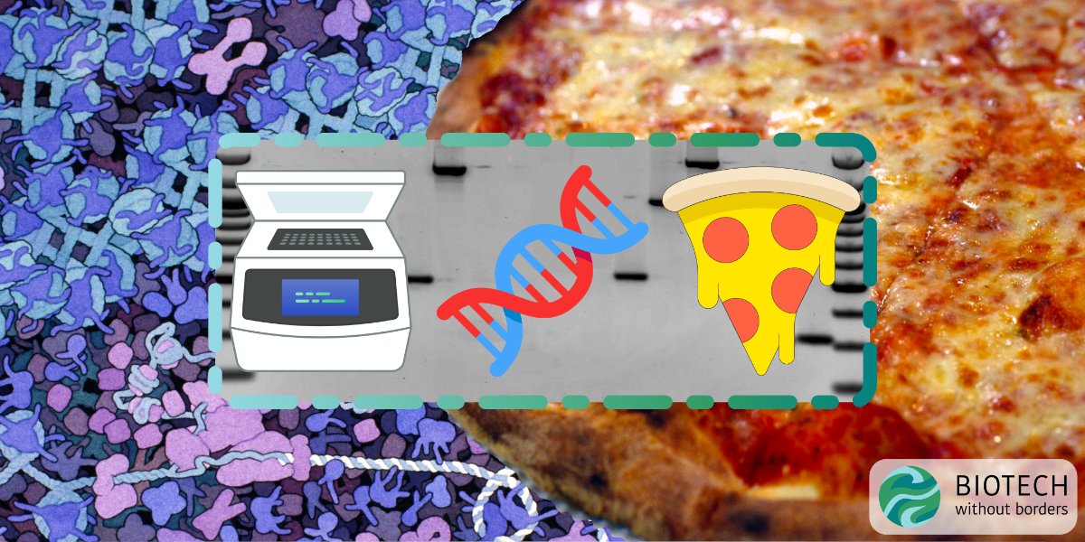 Biotech without Borders 🧬 tweet media