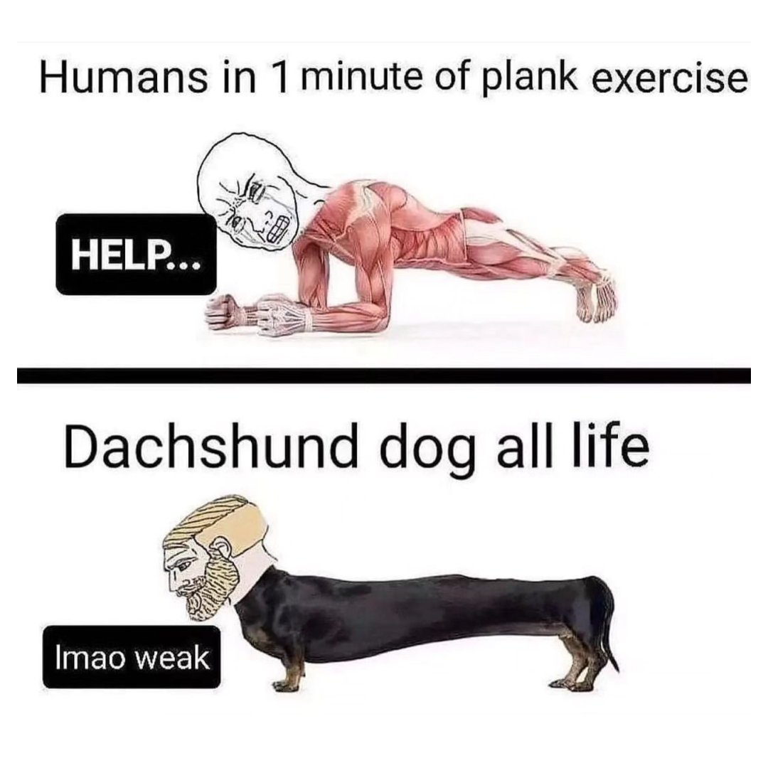 CrunchGym's tweet photo. #NoJudgments 😅📷:  gymgoalsnation https://t.co/e8C8Je2rUr