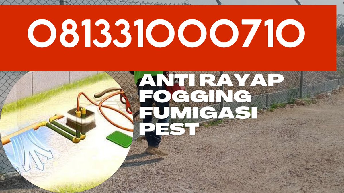 jasafogginghama's tweet photo. Jasa Fogging Nyamuk Profesional 
☎️081-331-000-710

#fogging #foggingsidoarjo #foggingsurabaya #fogginggresik #foggingmojokerto #foggingpasuruan #foggingmalang #foggingkediri #foggingblitar #foggingtulungagung #foggingtrenggalek #foggingjember #foggingbondowoso #foggingbanyuwangi https://t.co/pfT09Tis5Y