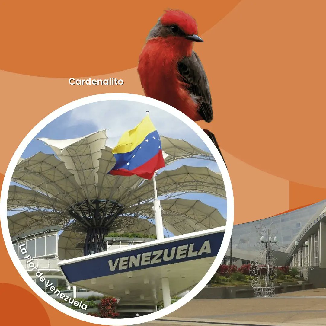 INATURPORT's tweet photo. En estás Vacaciones los invitamos que visiten el estado Lara, todas las bellezas naturales y su clima son propicios para disfrutar en está temporada.

@nicolasmaduro
@delcyrodriguezv
@alipadronven
@minturvzla
@inaturvzla
@minturvzla2.0
@asdrubalrincones
@braianvargasve https://t.co/yqQyno7LX4