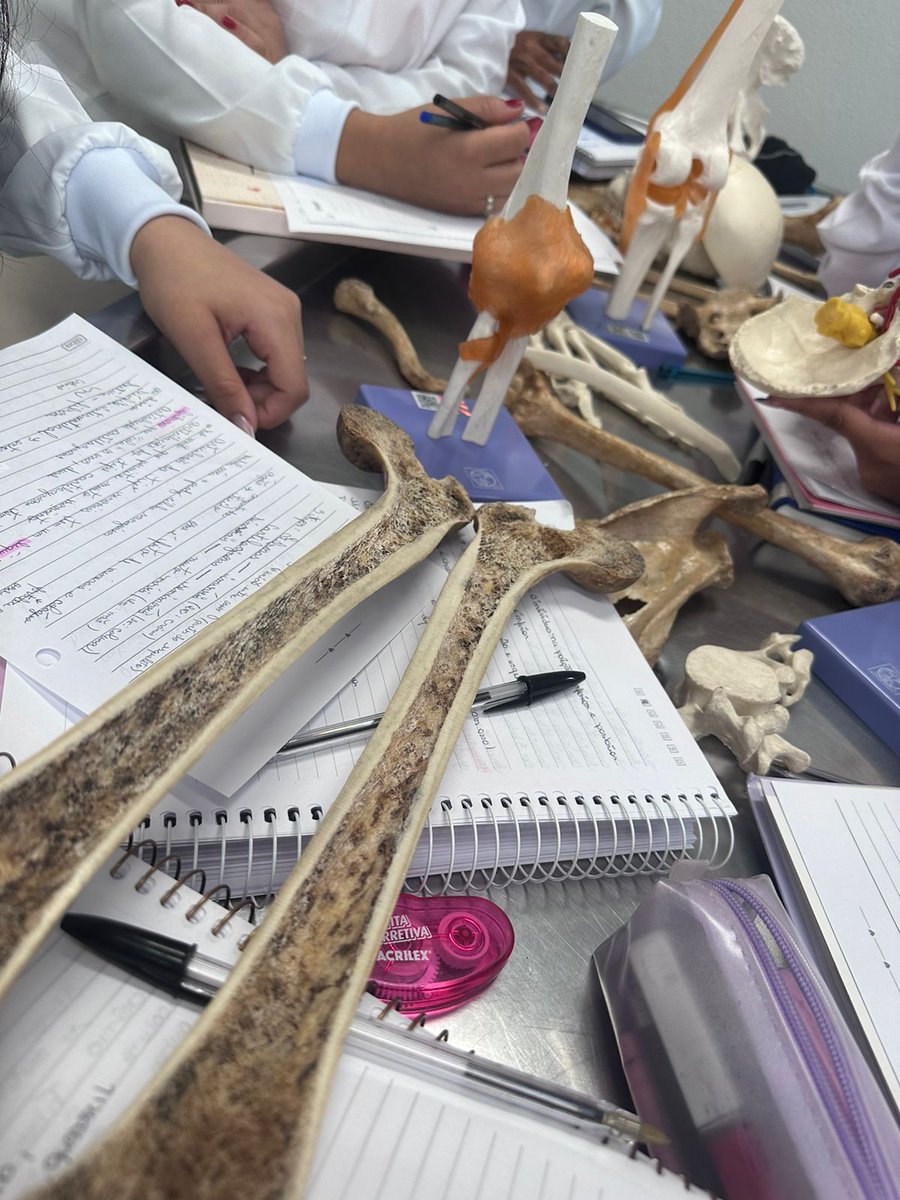 dev_thiago_'s tweet photo. Relatos de um estudante :Acordei lindo e pleno as 05, me arrumei, tomei café,arrumei o material pra hoje, olha só tudo isso em menos de quarenta minutos pra pegar o ônibus e ficar mais de uma hora e meia no busão no trânsito infernal ou seja acordei cedo pra me atrasar com calma https://t.co/cpnRZAdWJF