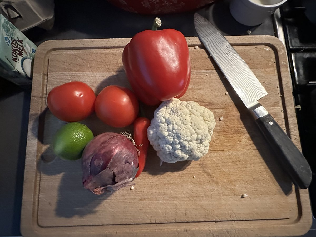 jacqueline schweig tweet media