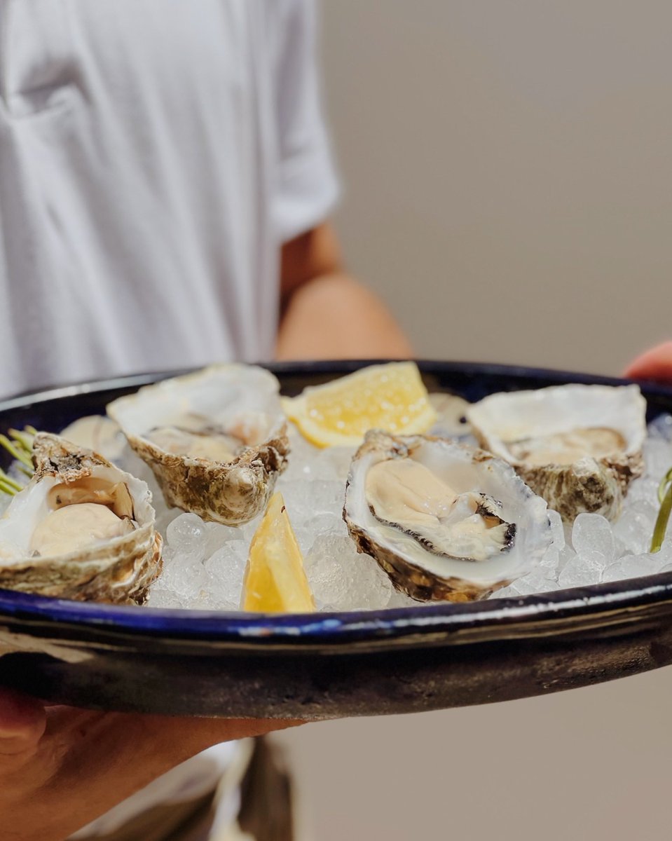 EsCodolForadat_'s tweet photo. A Es Còdol sempre trobareu les millors ostres al vostre gust. Veniu a tastar-les?? 🦪🤤🧡

#EsCòdolForadat #Formentera #oysters #algusto #gastronomia #season2024 #fyp https://t.co/A8q4S5t7Pj
