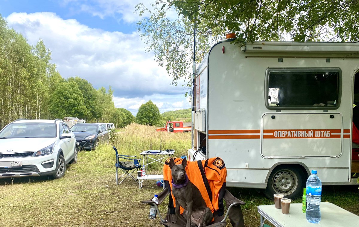 Гулящих tweet media