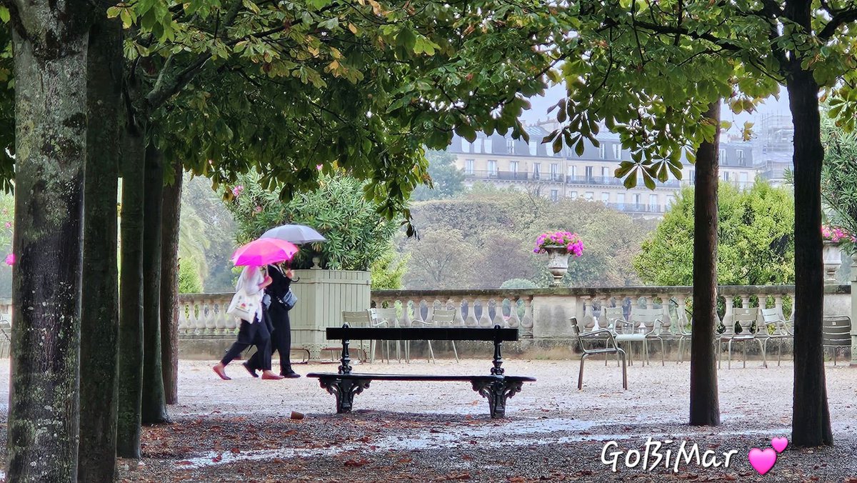 Bigot44408011's tweet image. Le #parapluie rose 🌹 couleur #géraniums du #JardinDuLuxembourg 💕💕