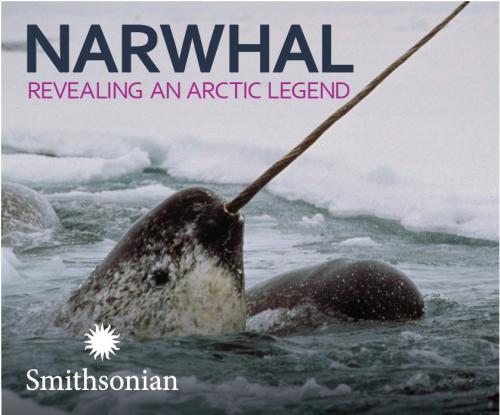 🦄The last day to see the Smithsonian exhibit Narwhal: Revealing an Arctic Legend, is Sept 2.

🍁Holly Carr's Light in the Forest, a multi-media immersive experience, will blossom into our spaces Sept 13.

❗️The Museum will be closed Sept 3 - 12 to facilitate these changes.