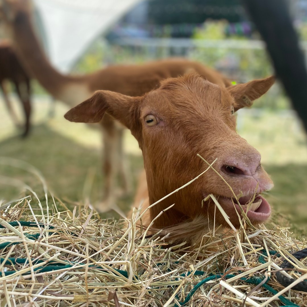 The Actors’ Church tweet media