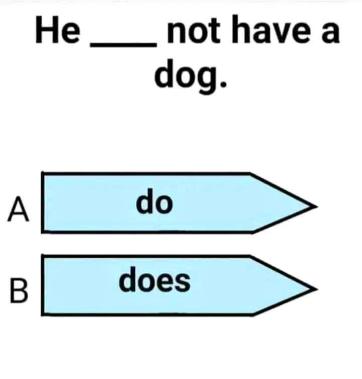Do you know the correct answer? English Quiz