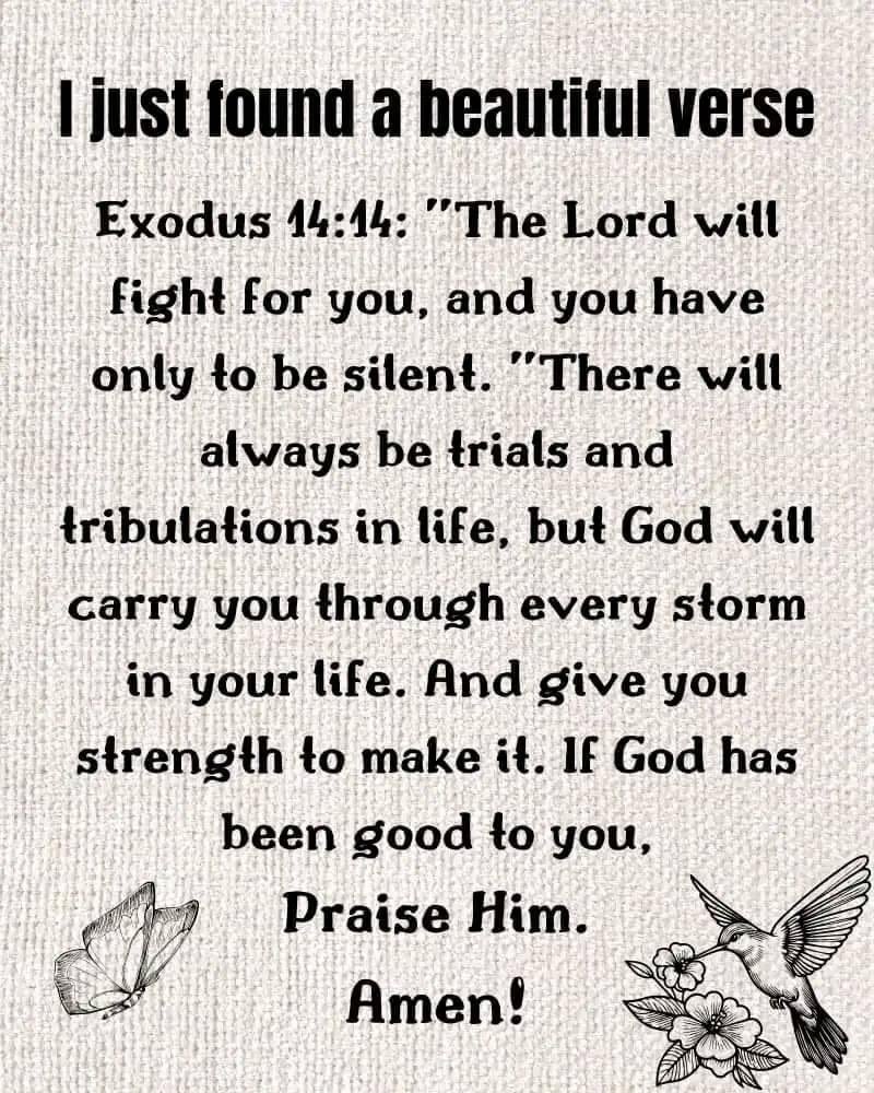 Sean (@christiscoming5) on Twitter photo 