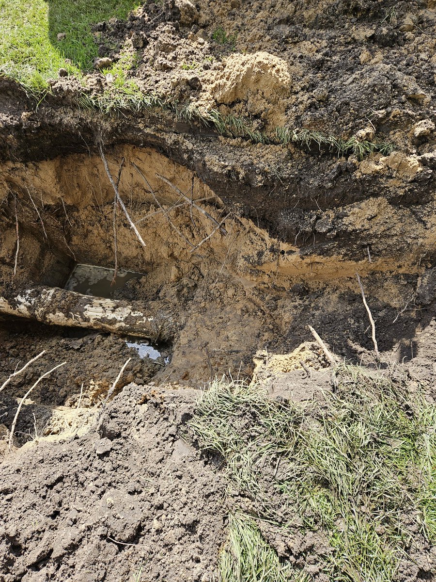 Chuck Barber tweet media