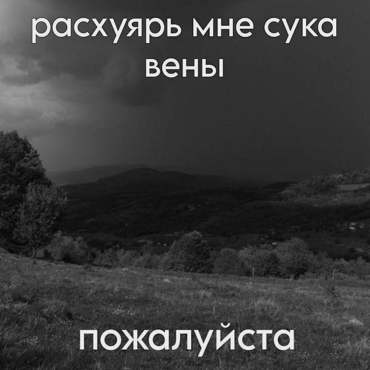 lliahq tweet media