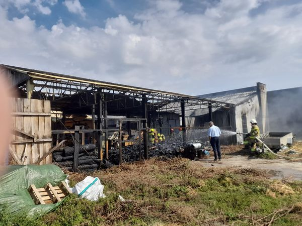 Option Freak tweet media