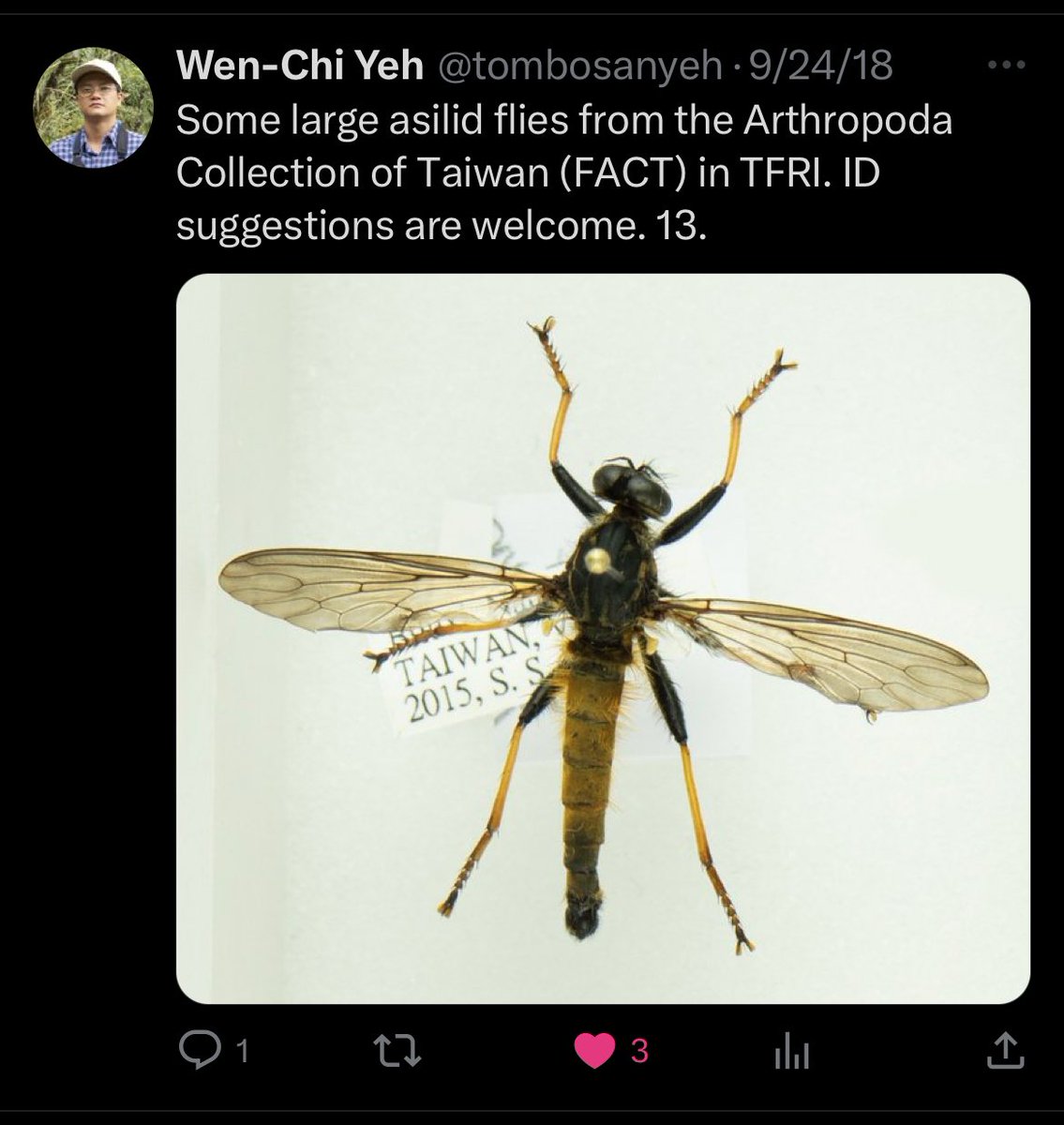 Michael Zelun Lee tweet media