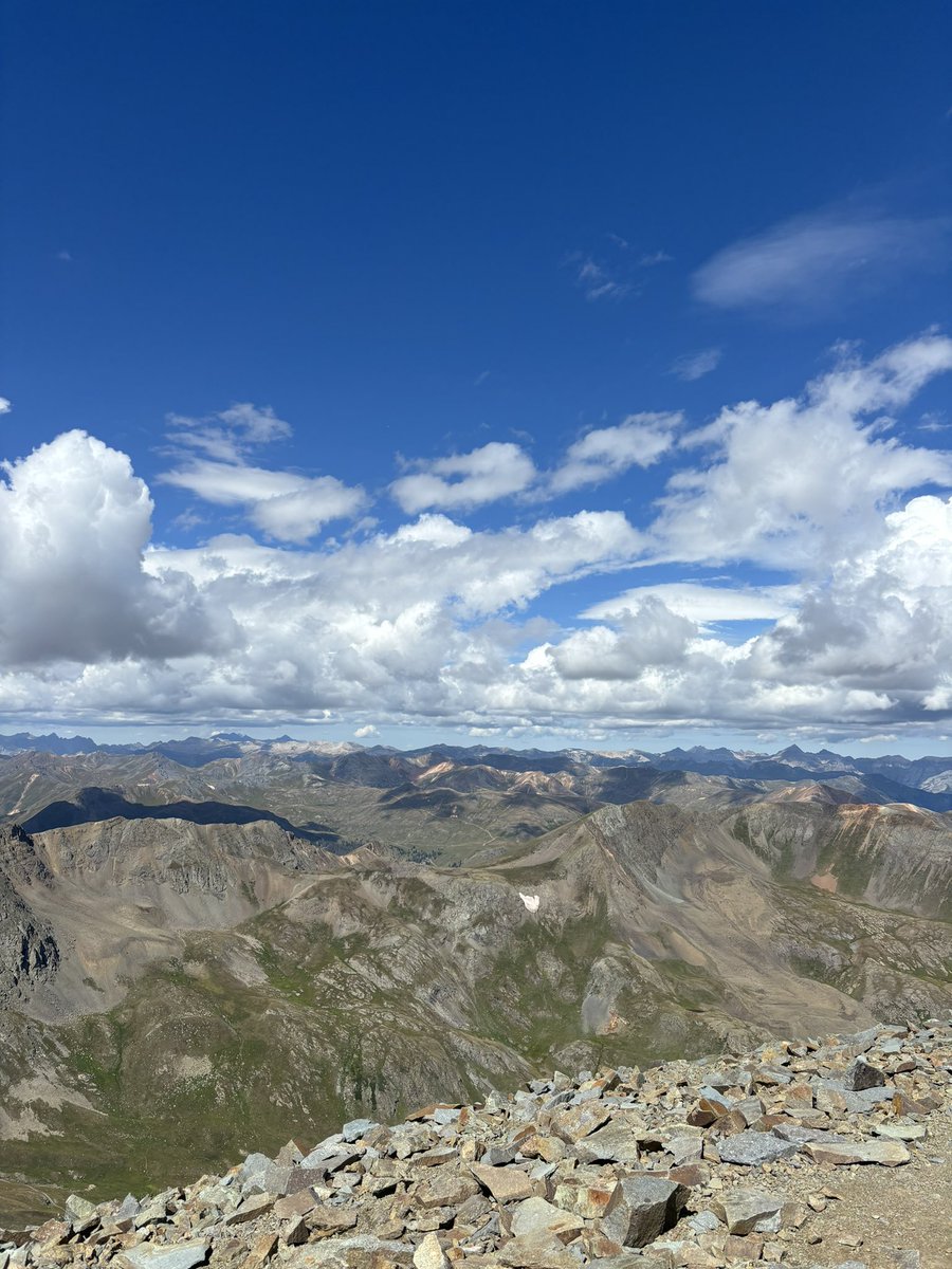 Alison Berg tweet media